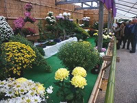 �����Ӌe�l�`