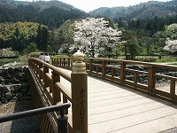 桜と御屋形橋