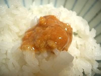 �����Ɂ@���ܐh�d��